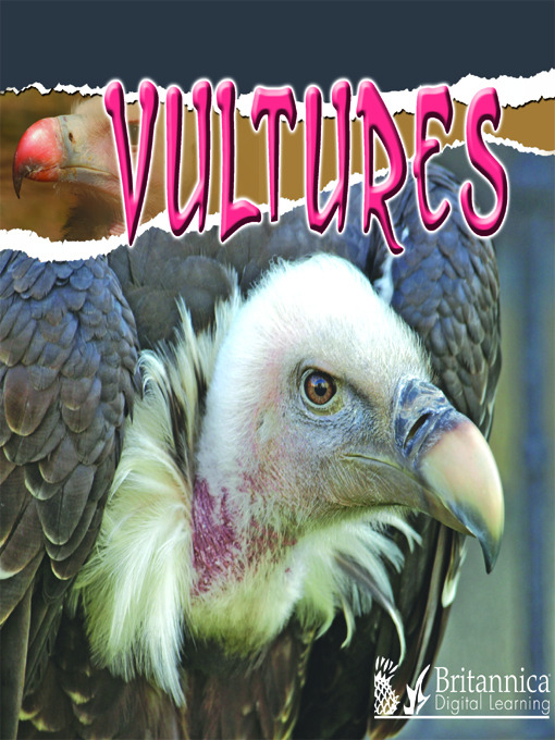 Title details for Vultures by Julie K. Lundgren - Available
